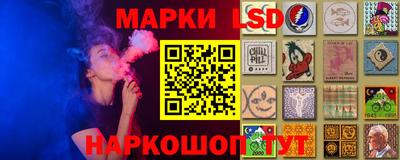spice Новодвинск