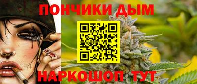 spice Новодвинск