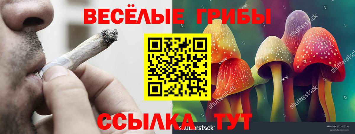 Галлюциногенные грибы Cubensis Алушта